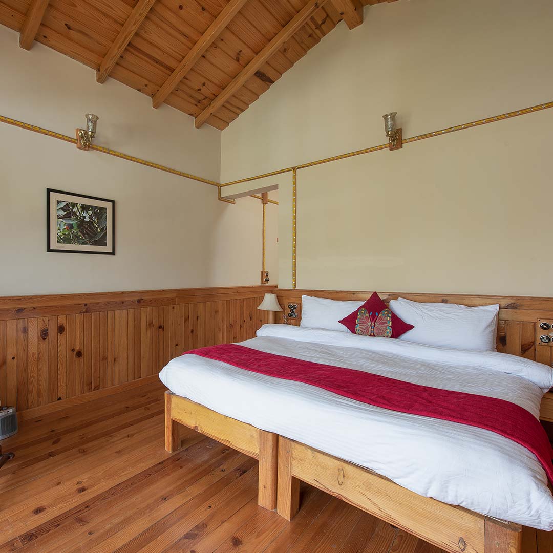 Wild Fig Central Suite Room