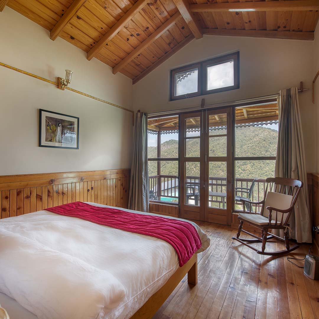 Wild Fig Central Suite Room